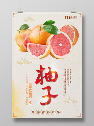 清新大气水果柚子买一送一宣传促销海报